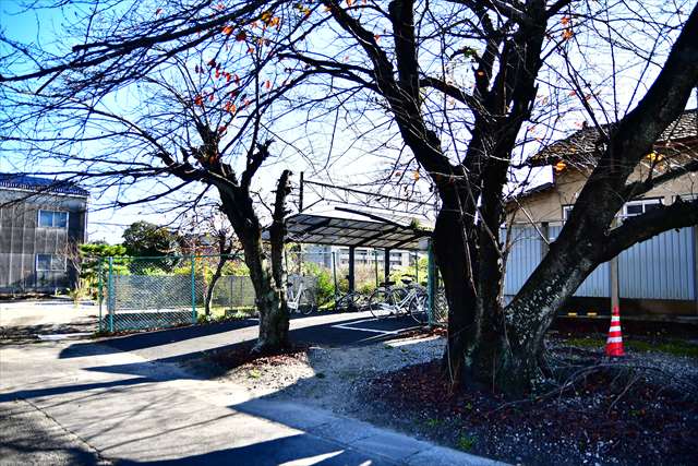 平津