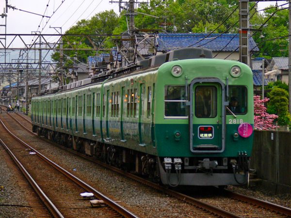 【お急ぎ】ひめ えっくす☆きゅーと11thシリーズ「スウィートガール オブ オズ